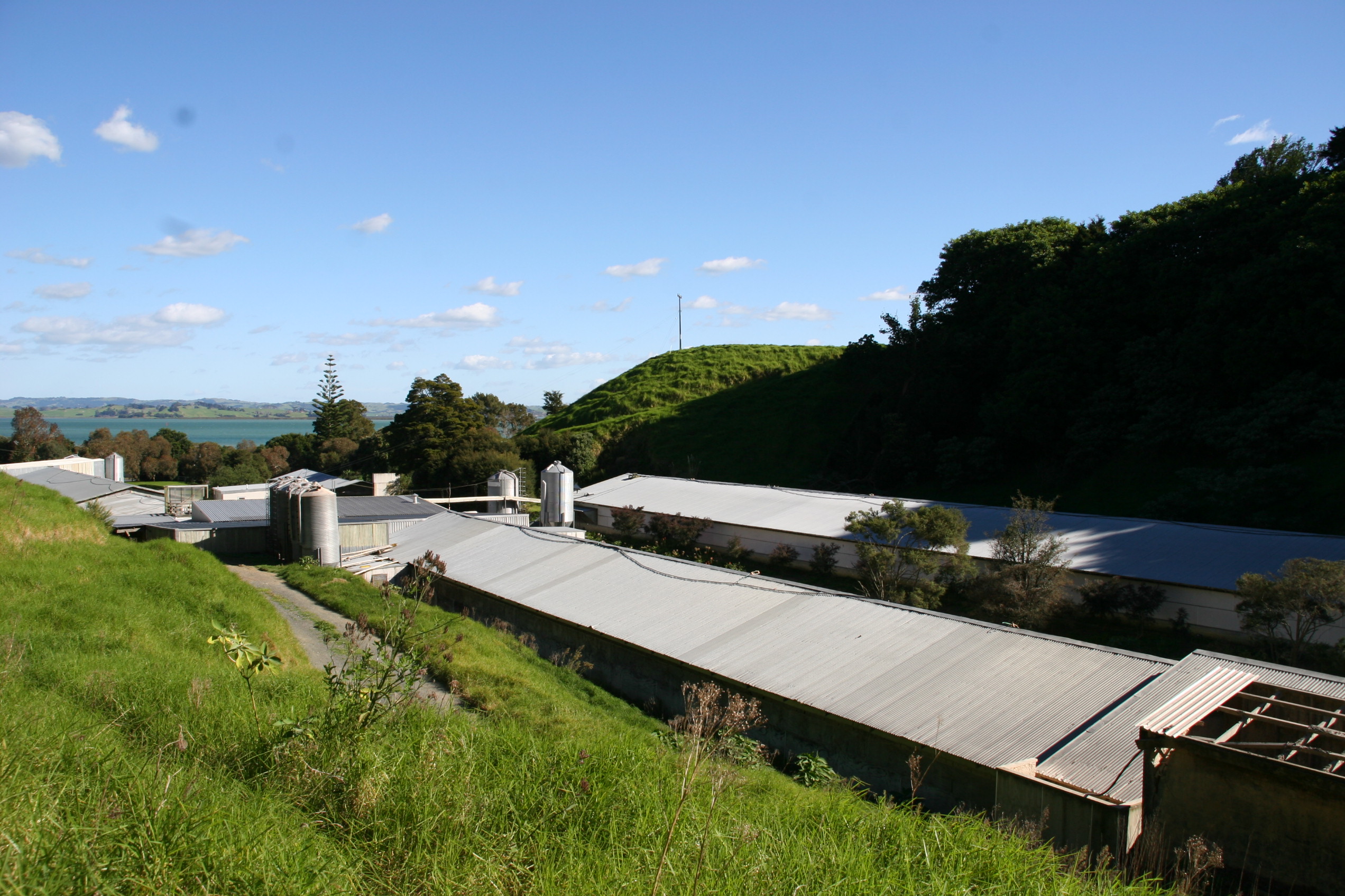 New Zealand Waterview Real Estate, New Zealand Oceanview Home for Sale ... ... - International Real Estate - Moving Overseas - International Living