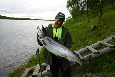 Pello Property Finland Homes