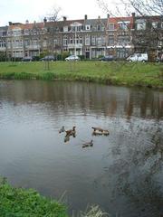 property in Netherlands
