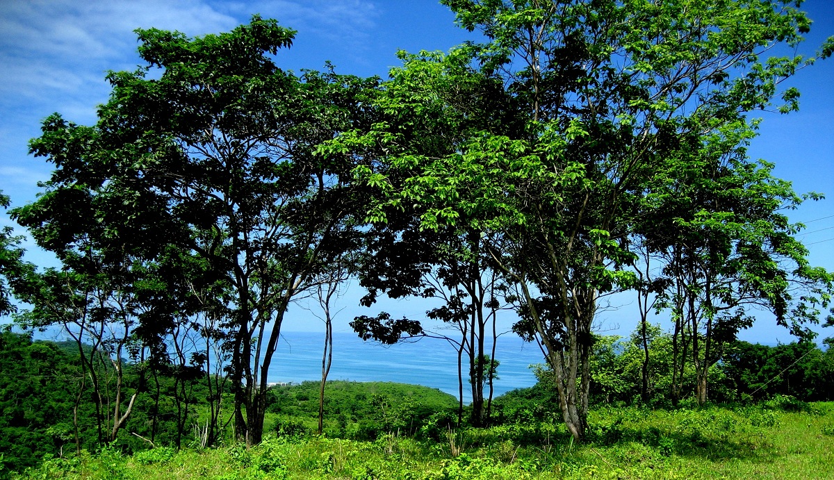 property in Ecuador