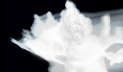 Chicago footwork artist Jana Rush to release debut album, Pariah