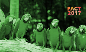 Bird sound power: How Björk, Equiknoxx and more embraced field recording in 2017