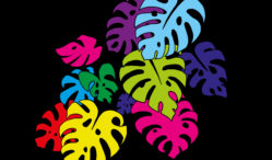 FACT mix 633: Jay Glass Dubs