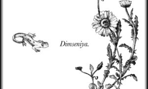 Aïsha Devi, RAMZI, Bergsonist and more featured on Dimseniya compilation