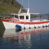 GRP Boat for sale at findafishingboat