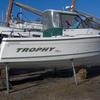 Bayliner trophy 2509 Boat for sale at findafishingboat