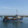 Treeve 25 Boat for sale at findafishingboat