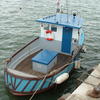 IP 24 Boat for sale at findafishingboat Click to enlarge