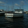 Tamar 2000 Boat for sale at findafishingboat Click to enlarge