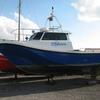 POLYESTER Boat for sale at findafishingboat