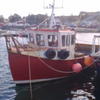 steel Boat for sale at findafishingboat