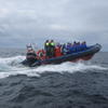 Ribcraft Boat for sale at findafishingboat