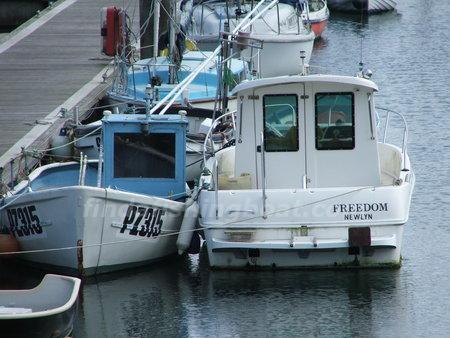 arvor