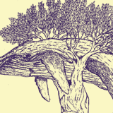 Tee Submission: Whale in a tree