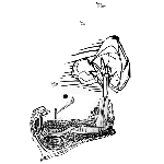 Tee Submission: island of ship