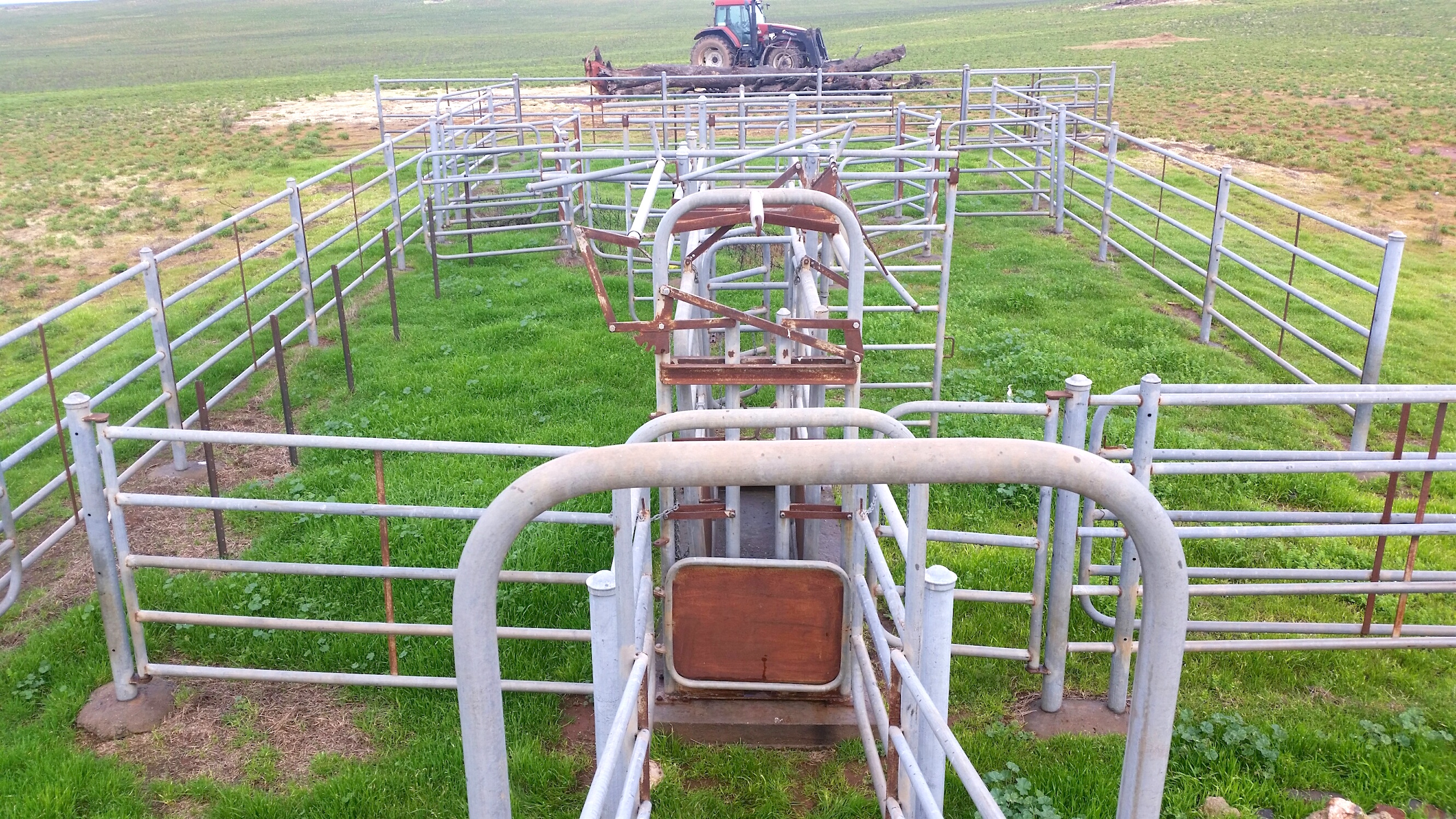 CATTLE YARDS Very Solid Complete with Crush, Loading Ramp,