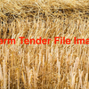 600 8x3x3 bales of current season Wheat Straw - Hay