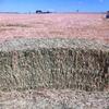  TOP QUALITY OATEN HAY  8X4X3 - Hay