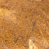 For Sale Out of Spec Grain/Waste - Grain