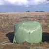 For Sale Oaten/Vetch Silage Rolls - Hay