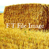 For Sale Straw in 8x4x3's - Hay
