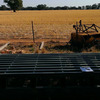 For Sale 70mt Rated Cattle Grid ( New )  - Farm Supplies