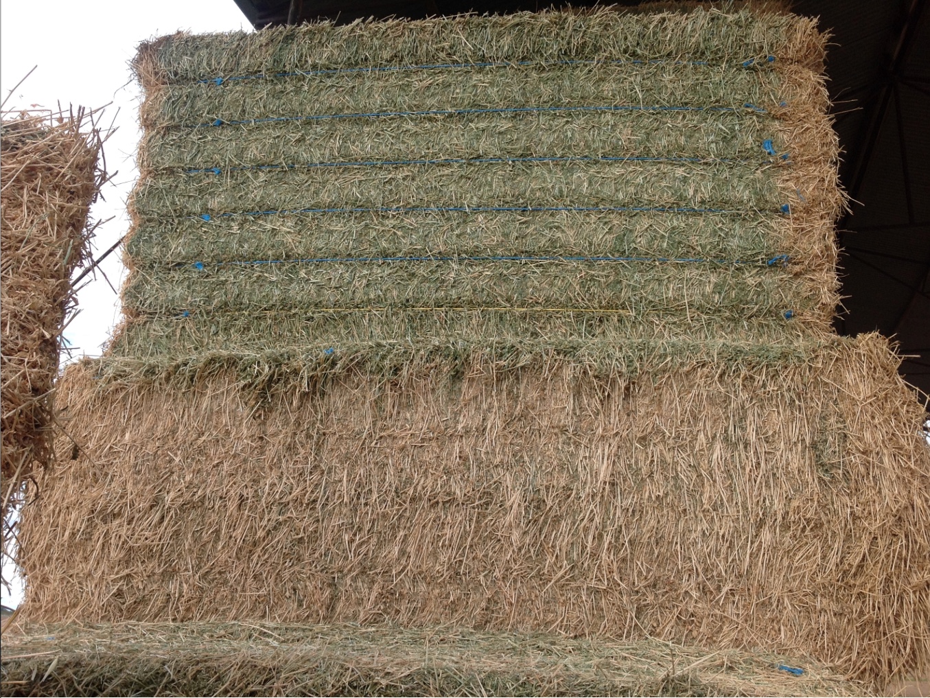 150 Bales of Quality Lucerne Hay For Sale in 8x4x3's Shedded