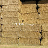 For Sale Export Grade Oaten Hay Delivered - Hay