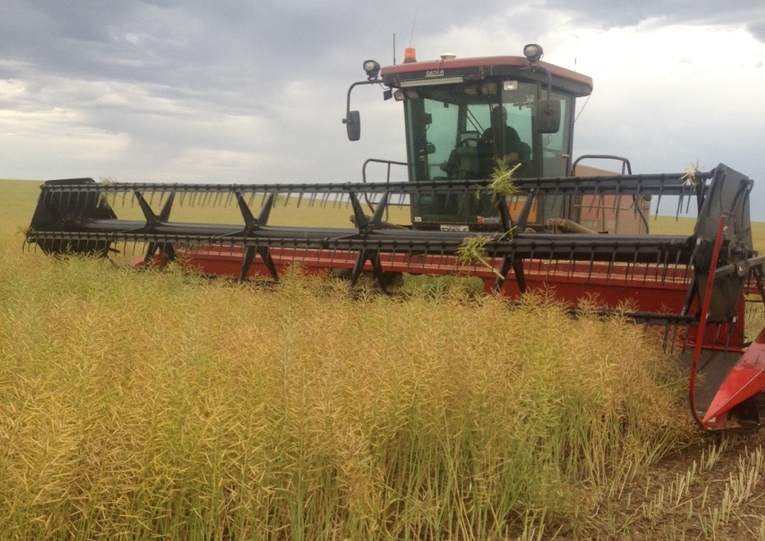 Case WDX 1701 Windrower For Sale Machinery & Equipment