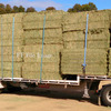 For Sale Clover Hay - Hay