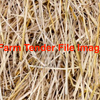 Rice Straw 8x4x3 Bales Treated with Hi Si - Hay