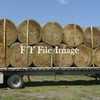 For Sale Trit Hay Rolls 5x4 - Hay