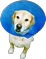 Consultorio