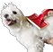 Peluquería