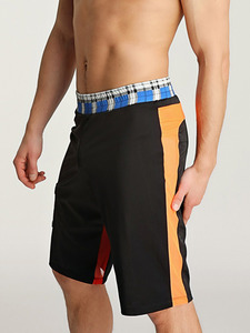 Lanikai Swim Trunk