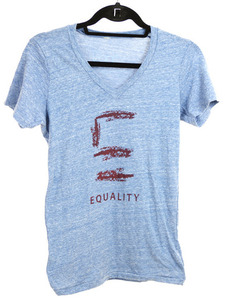 Equality Illinois Dash V Neck 