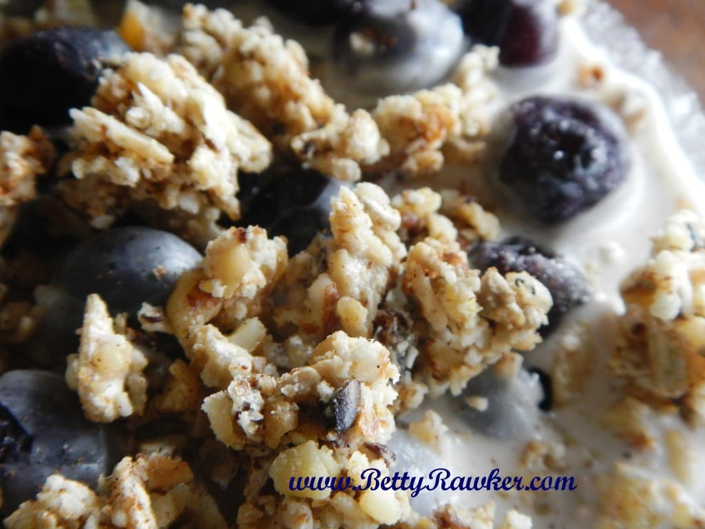Raw Grain Free Granola & Hazelnut Milk fastPaleo