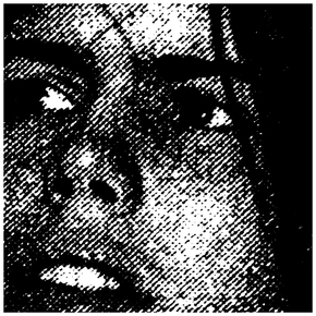 Crop_290