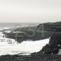 Crop_126
