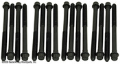 Hyundai Kia Engine Cylinder Head Bolt Set (Sonata Tiburon Santa Fe Tucson Sportage Optima) - 016-1039