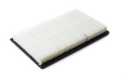 Air Filter (Fits Various Models) - Intercontinental 042-1364