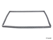 BMW Timing Chain (Lower) - Iwis (OEM) 11317598263