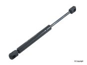 Audi Volkswagen VW Trunk Lid Lift Support (A4 S4 Jetta Passat) - Meyle 3B5827550EMY