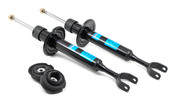 Audi/VW Front Shock and Mount Kit (A4 A6 S4 Passat) - OEM AUDISHOCKKIT1