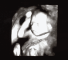 Bo_didn_tknow_haveachild__debonis