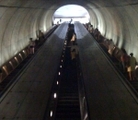 Bo_missinglinks_musicalstairs__stein_smaller