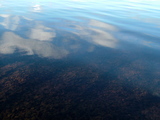 Bo_didn_tknow5_staunton