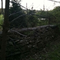 Bo_wall13_lobel_smaller