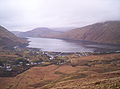 Bo_missinglinks33_coyne