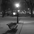 Bo_coldfreezin15_ostanina_smaller